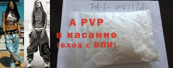бошки Гусев