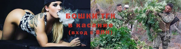 мескалин Тутаев