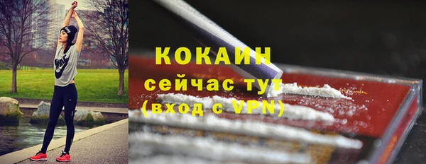 бошки Гусев