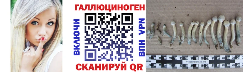 закладка  Рудня  blacksprut рабочий сайт  Псилоцибиновые грибы мицелий 